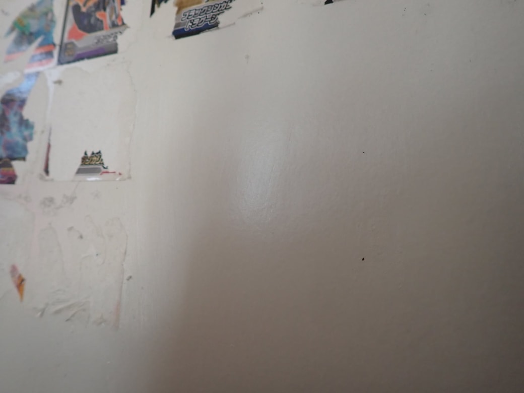 シール剥がし途中経過