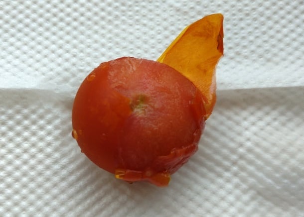 ミニトマトの皮をむくところ