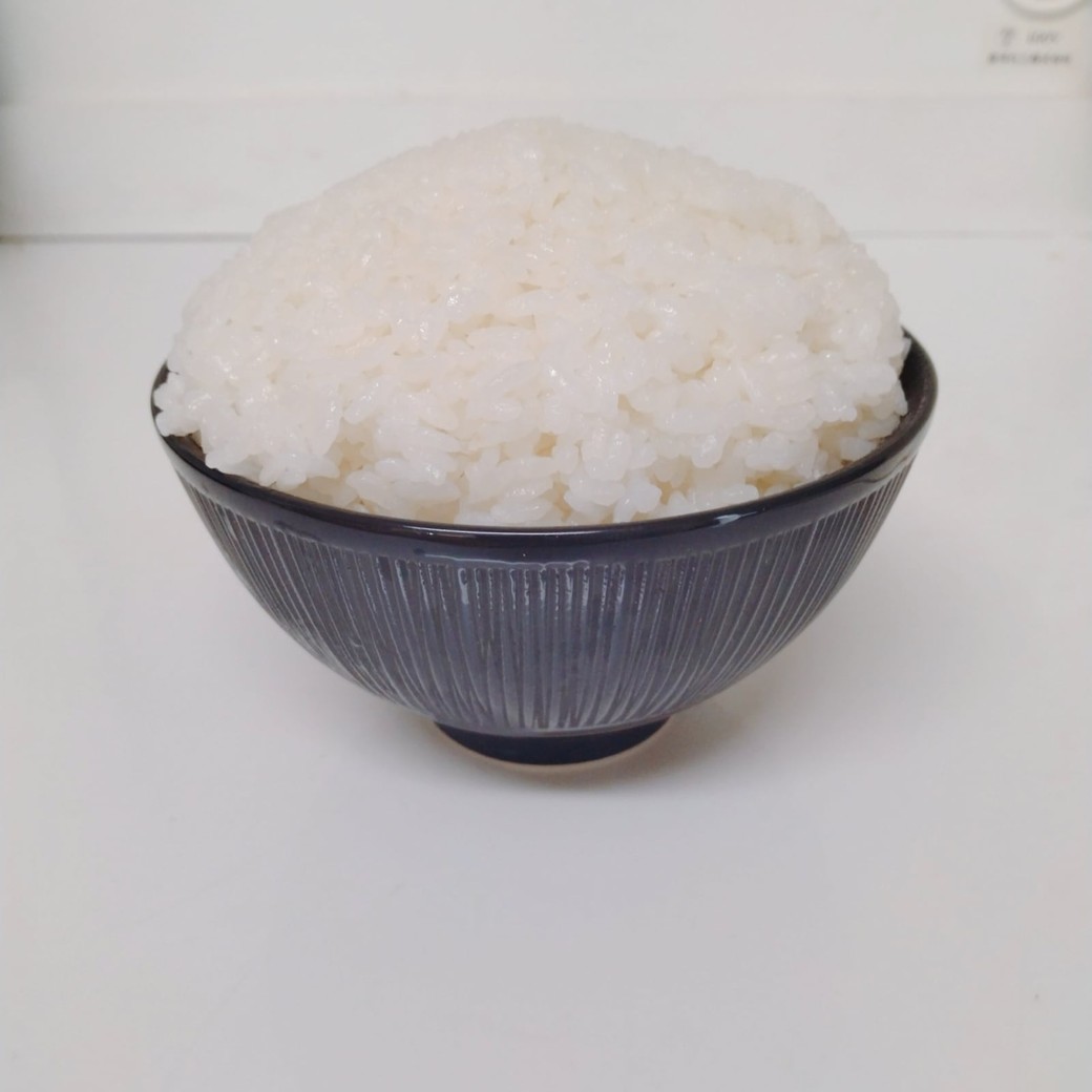 ご飯を持った茶碗