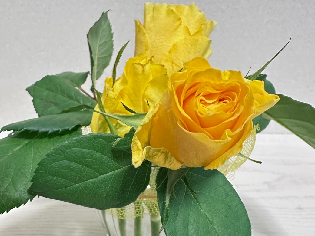 花を生けたところ