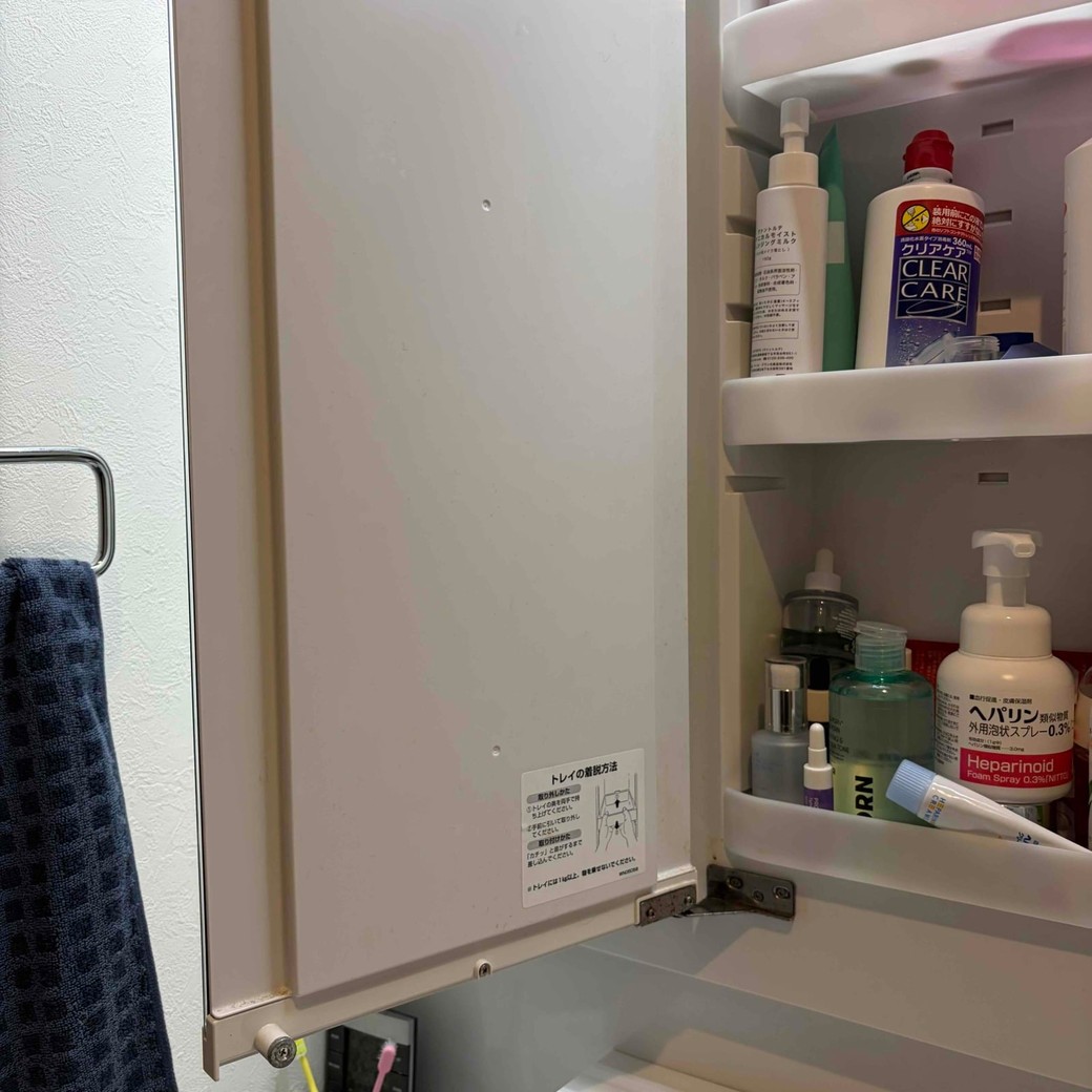 洗面戸棚の扉を開けたところ