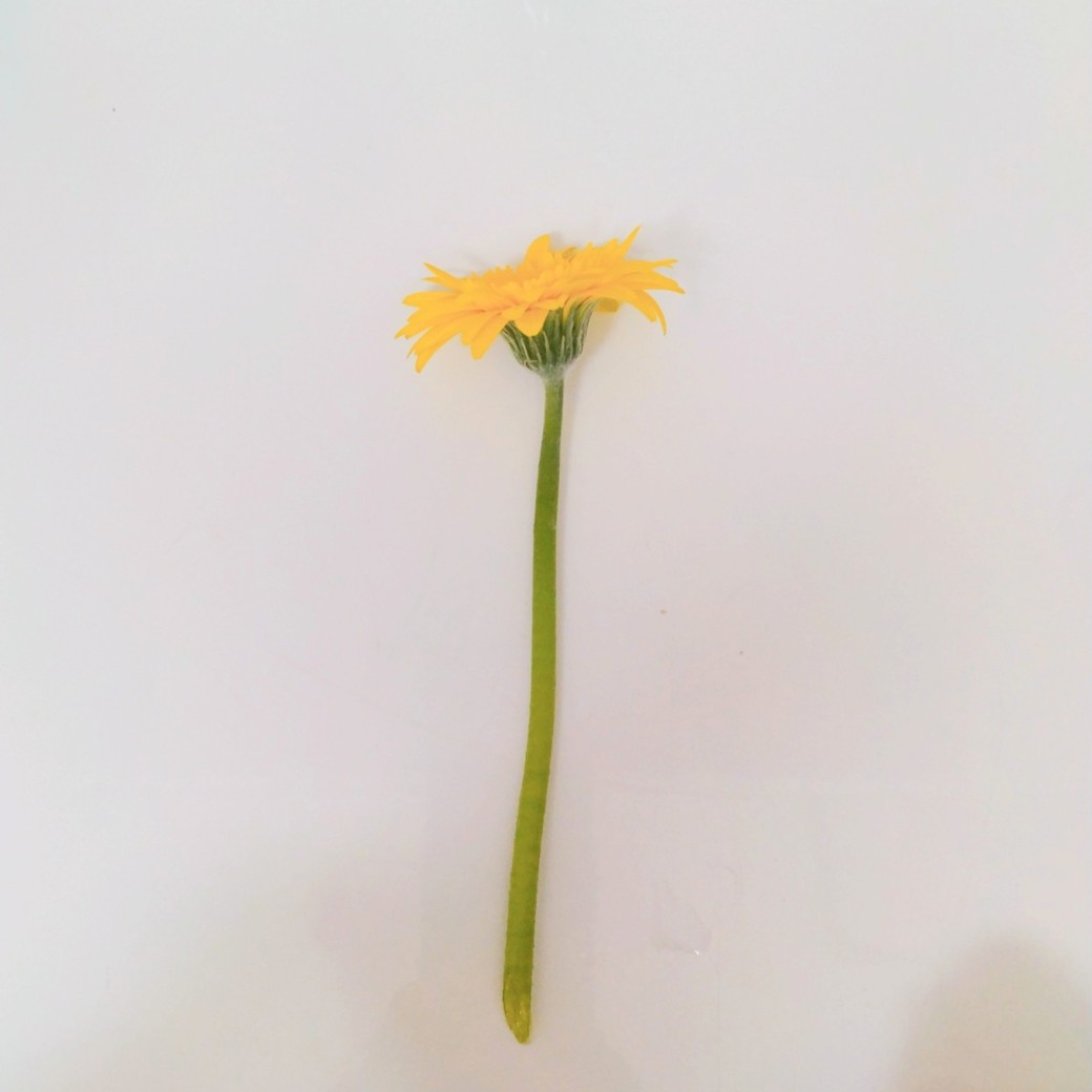 生花