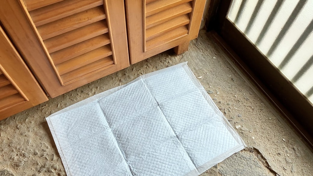 雨の日の玄関に「簡易マット」として活用できる