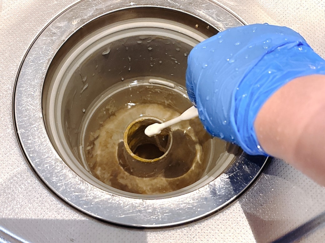 排水口の汚れを歯ブラシでこする