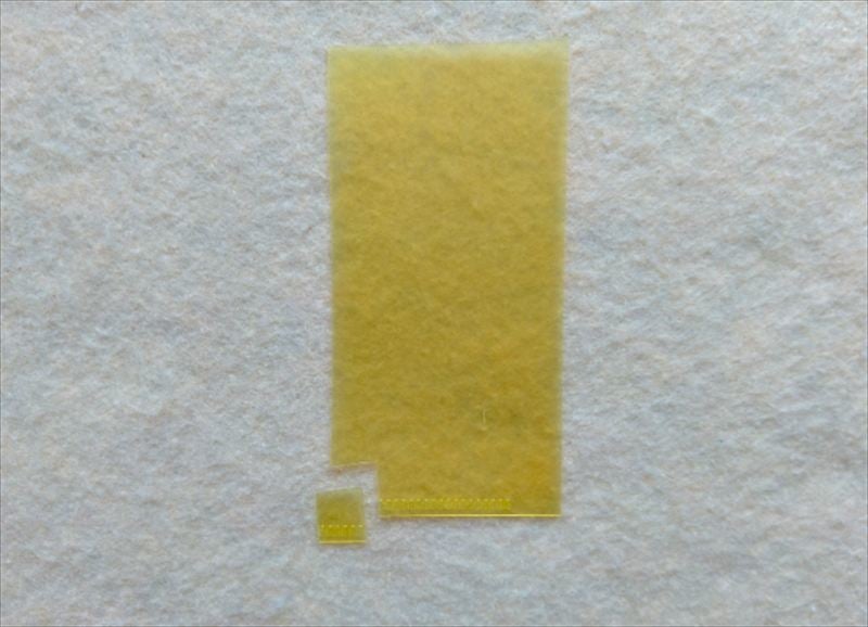 1cm×1cm切り取ったところ