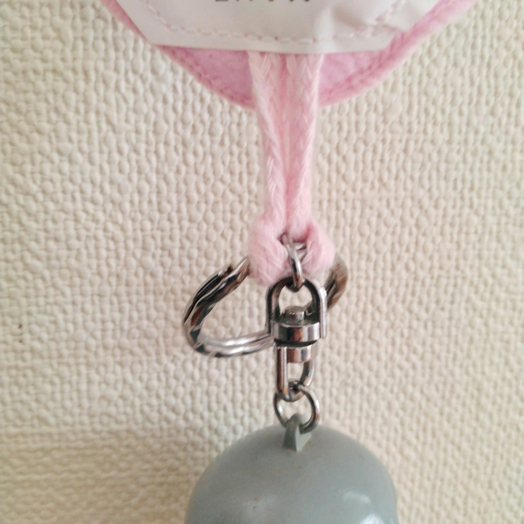 ひもを通したリング