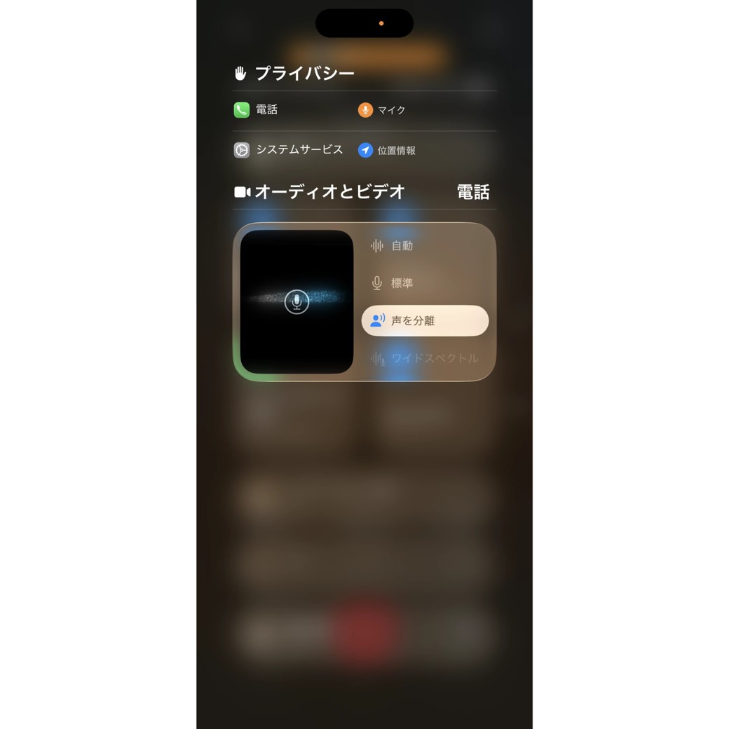 プライバシー画面で、「声を分離」を選択