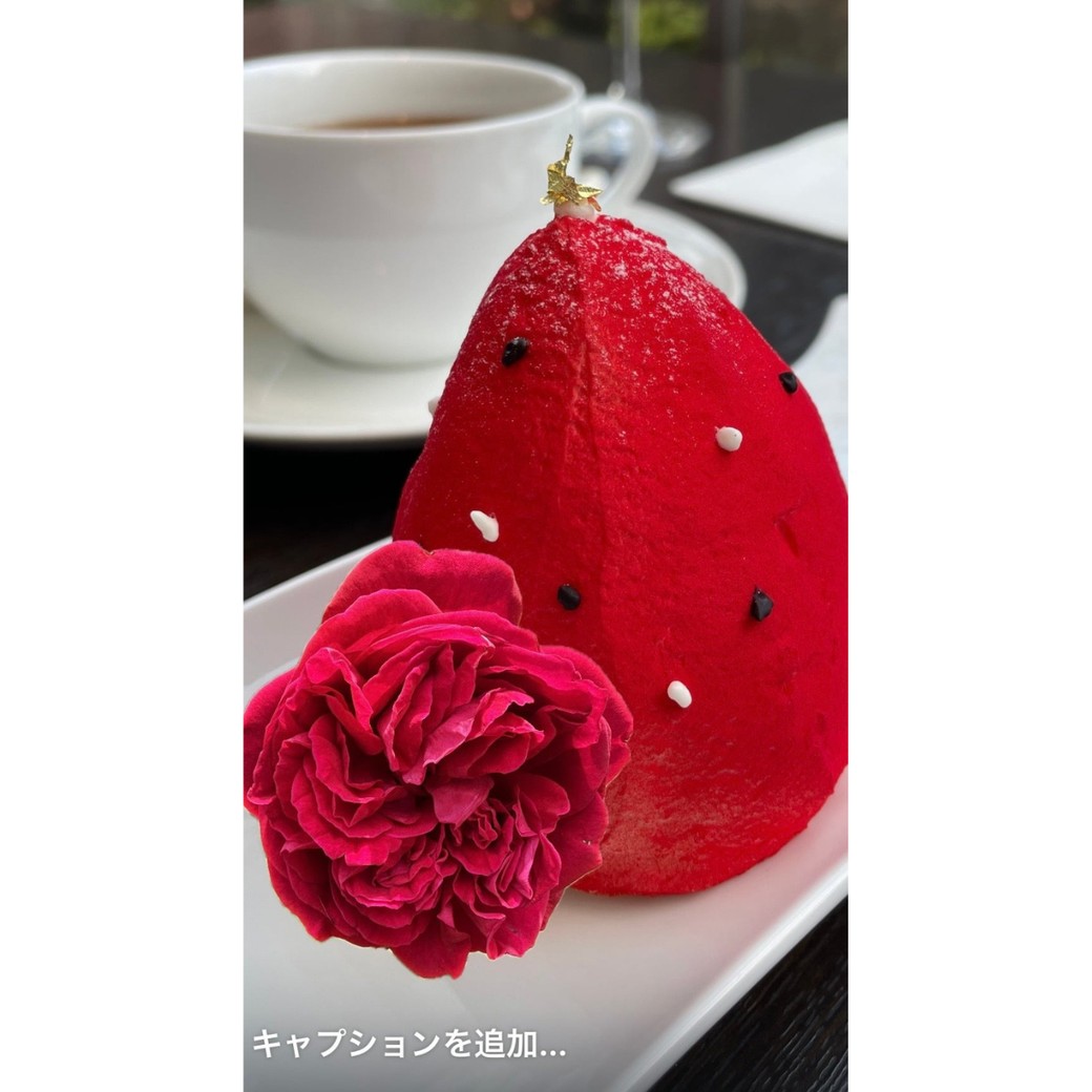 ペーストした写真
