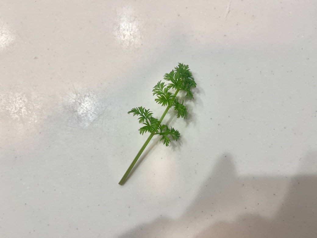 収穫