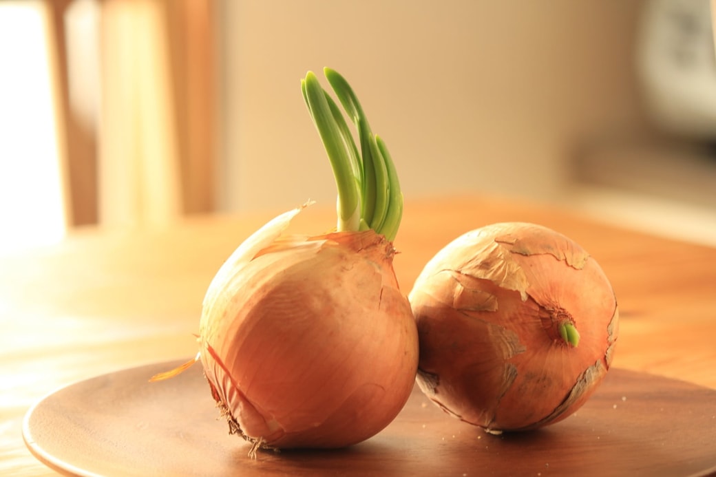 玉ねぎに生えた「緑色の芽」は食べられる