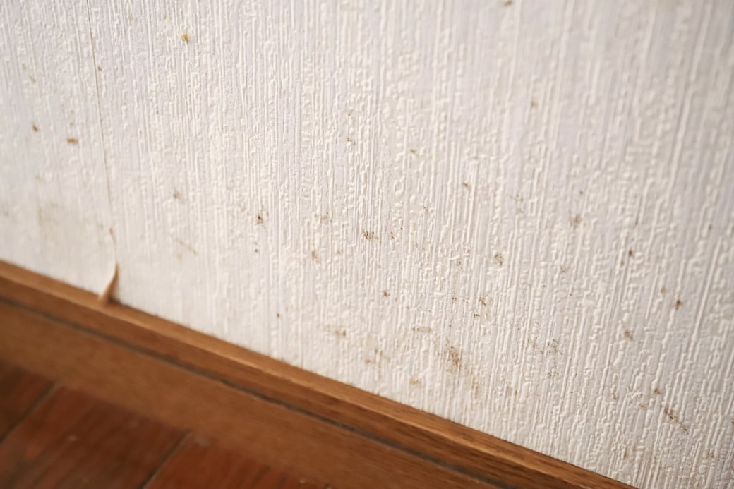 注意②汚れた壁紙に使う