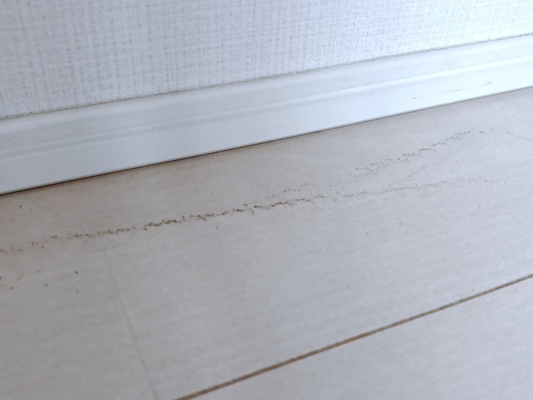 フローリングのお手入れに使う