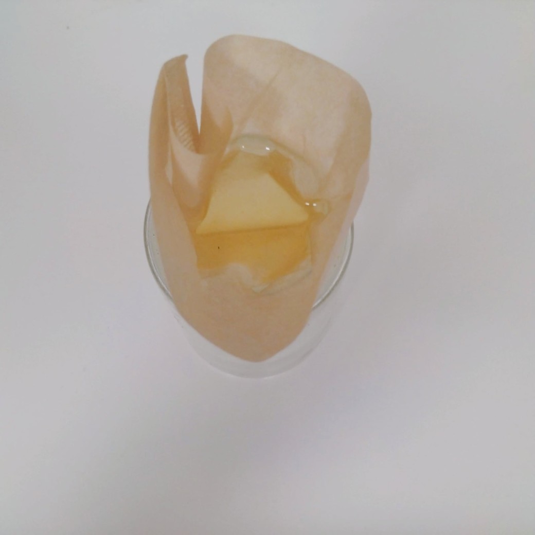 コーヒーフィルターを入れた容器