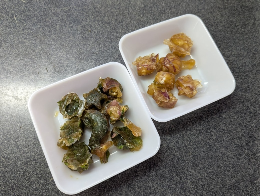薬味