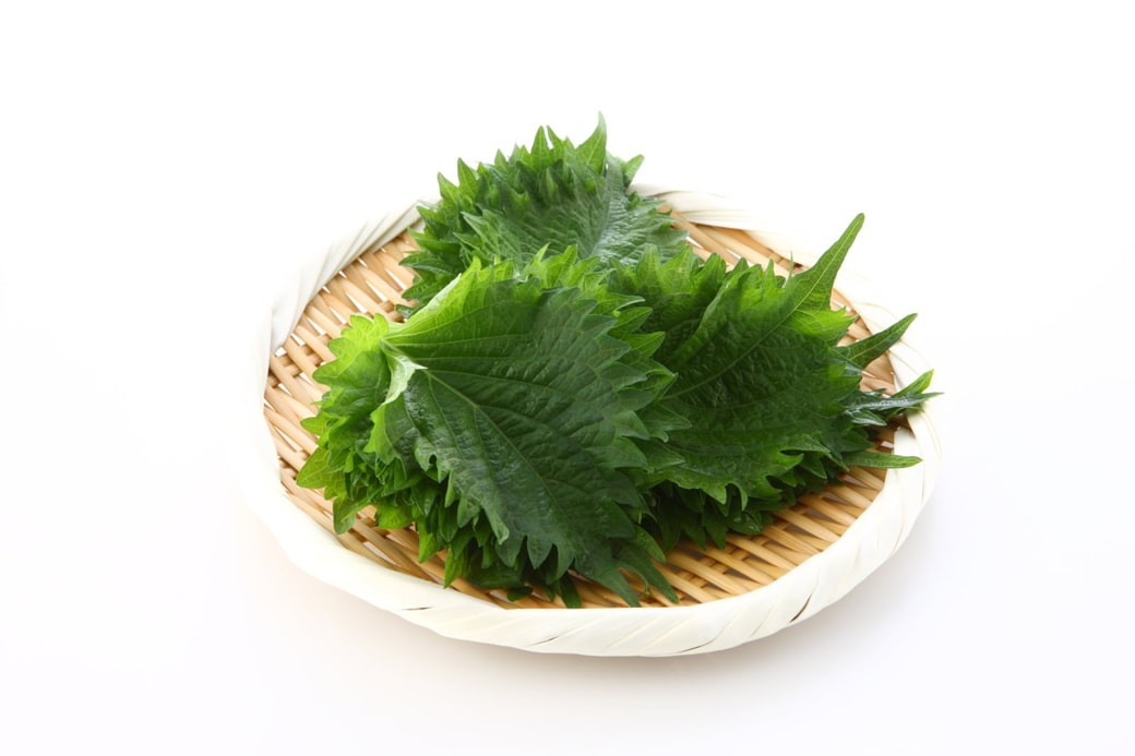 大葉