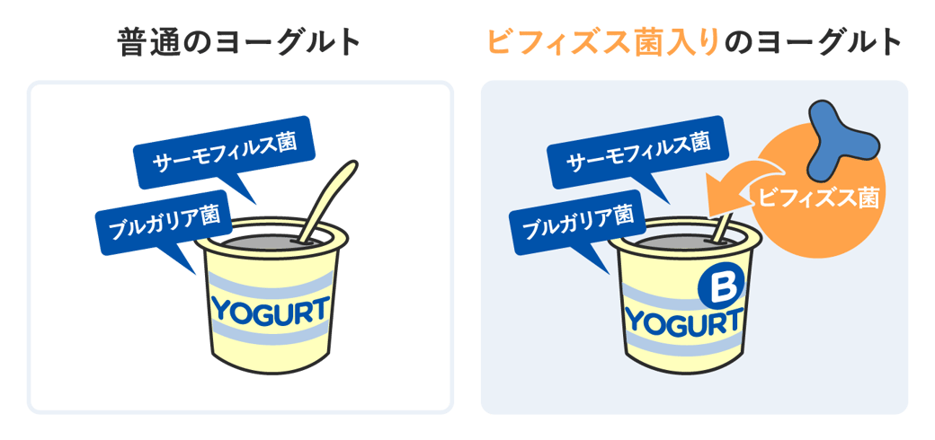 ヨーグルト