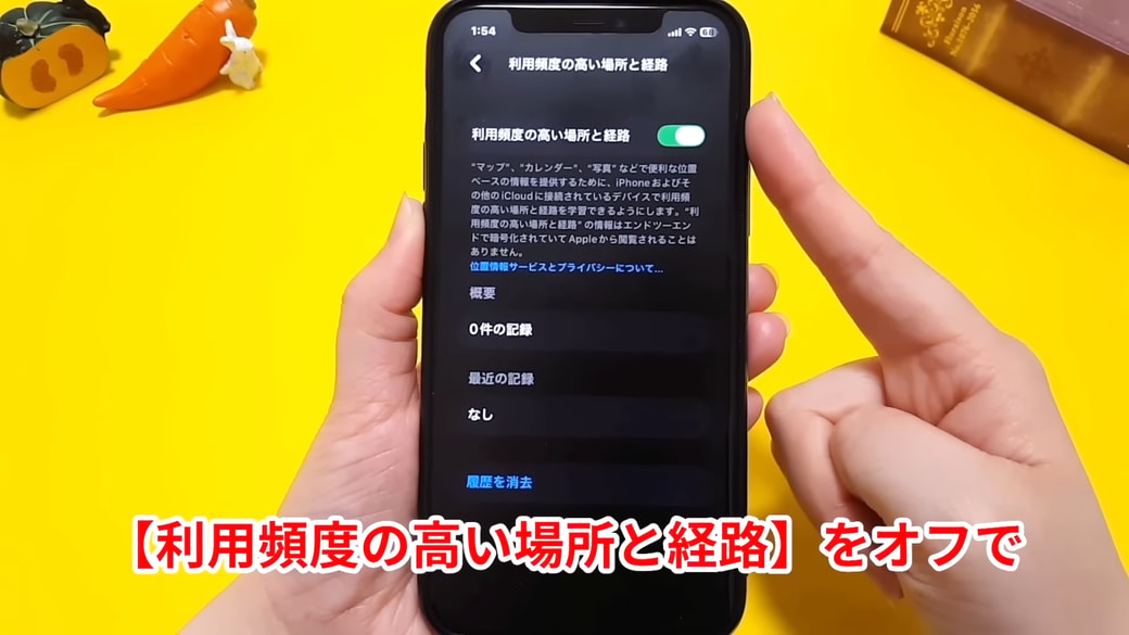 「利用頻度の高い場所と経路」をオフにすると無効にできる
