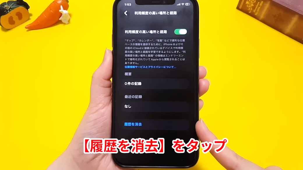 記録を消したいときは「履歴を消去」をタップする