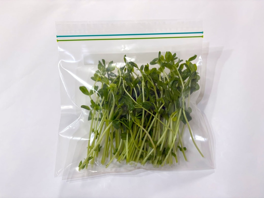 カットした豆苗の正しい保存方法