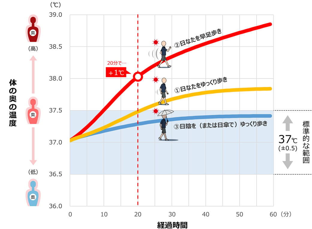 屋外歩行時の「歩行条件と体の奥の温度の関係」
