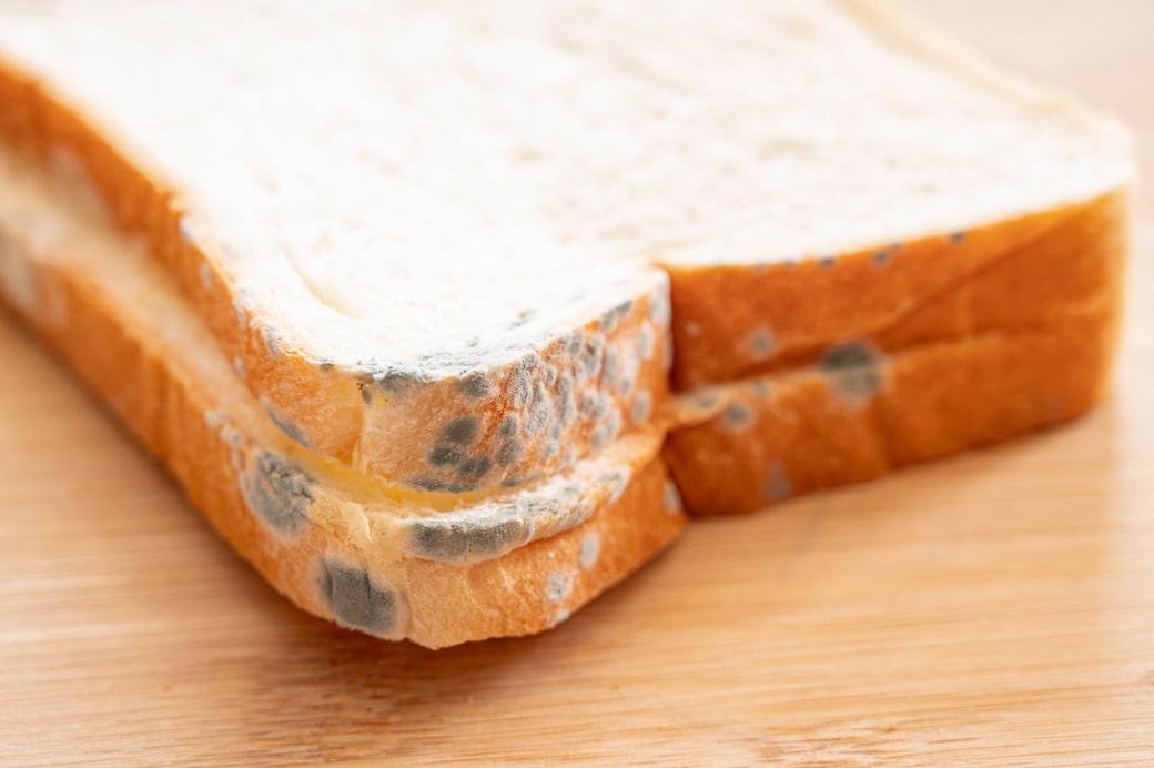 食パンに黒カビが生えたら、基本的には食べられない
