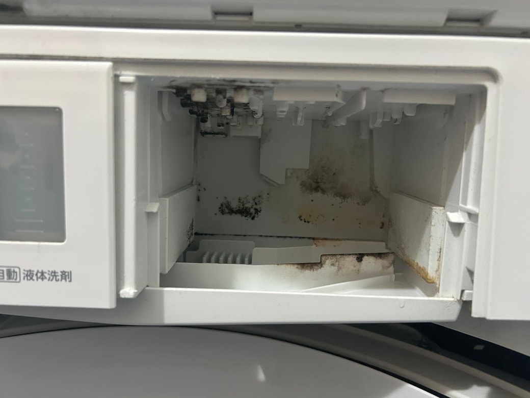 洗剤投入口の黒カビ