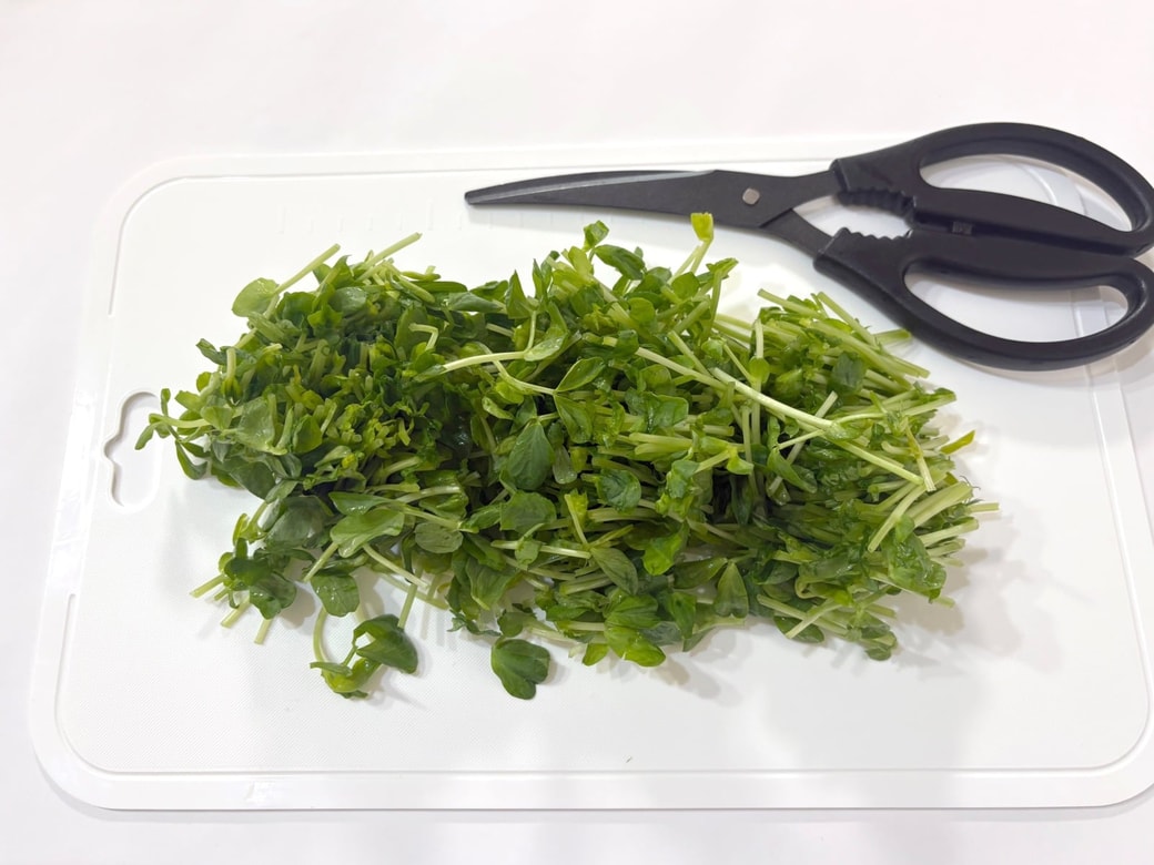 豆苗は洗って3分の1の長さに切る