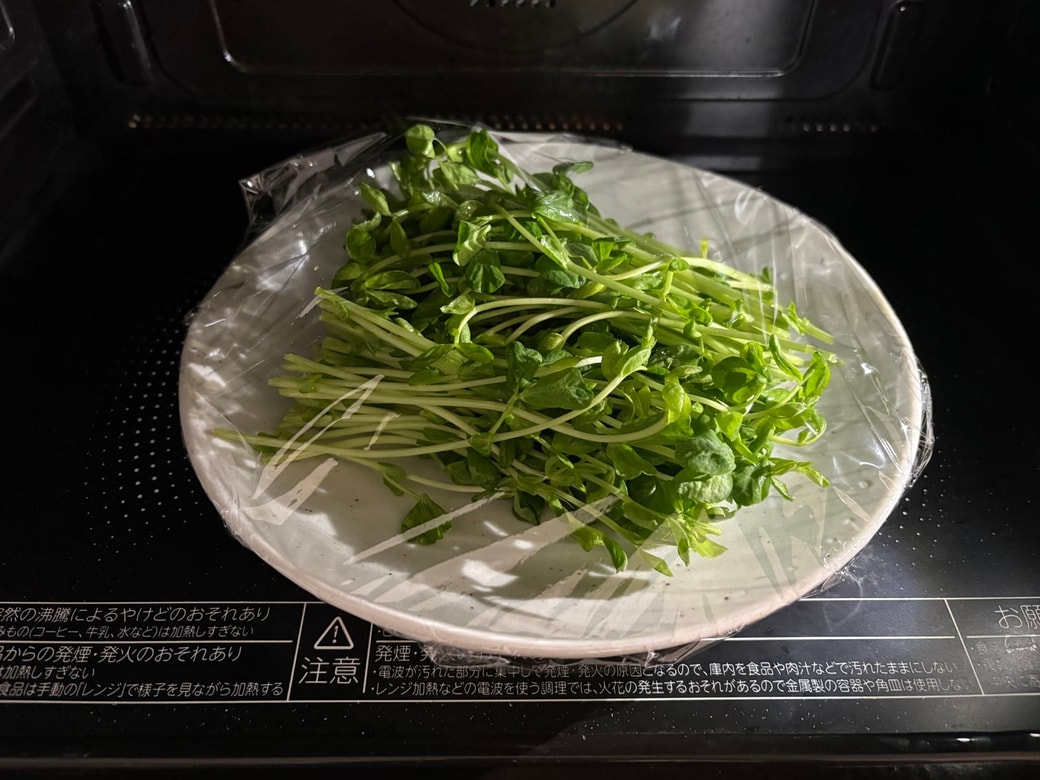 洗って根から切った豆苗を電子レンジ加熱する