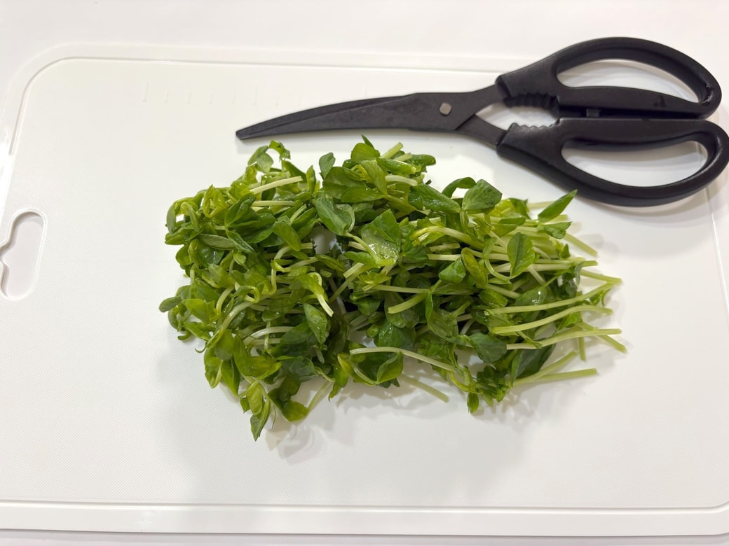 豆苗を3分の1の長さに切る
