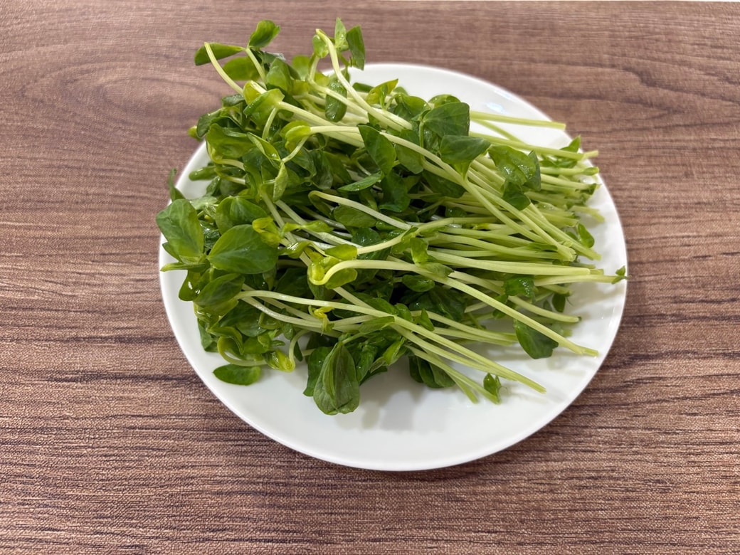生でも食べられる豆苗