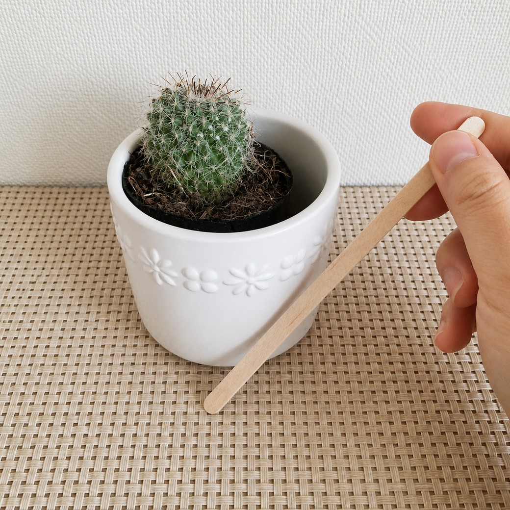 木製マドラーと植物