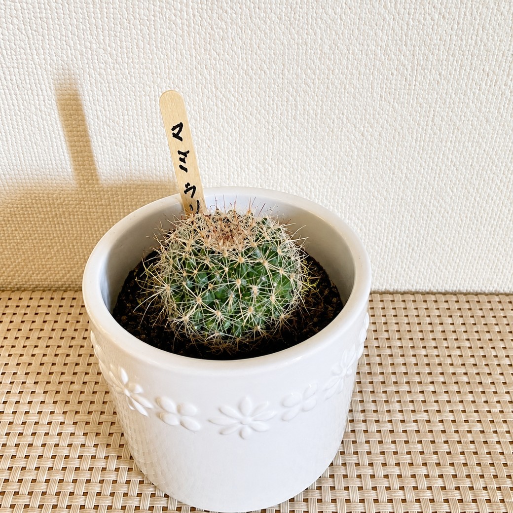 植物のネームプレートとして活用