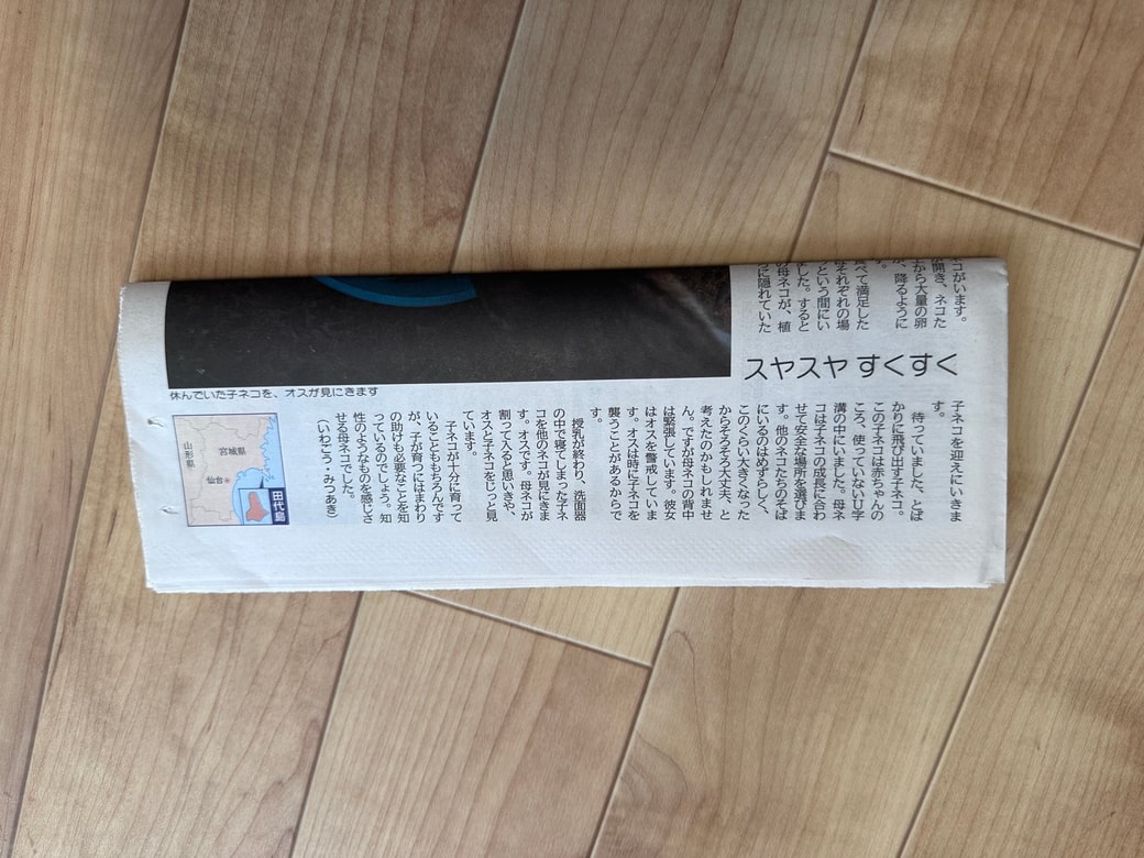 新聞を2枚重ねた状態で、4つに折る