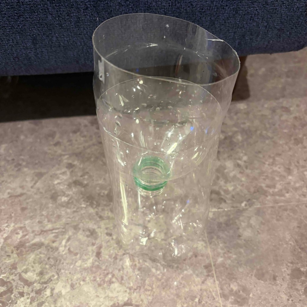ペットボトルトラップの写真