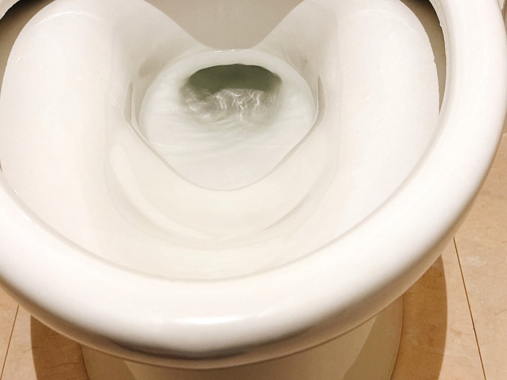 掃除後の便器