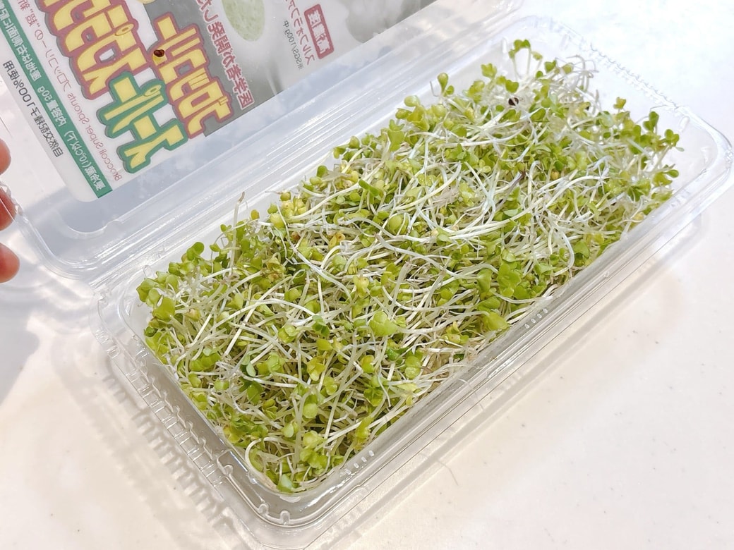 メイン食材のブロッコリースプラウト