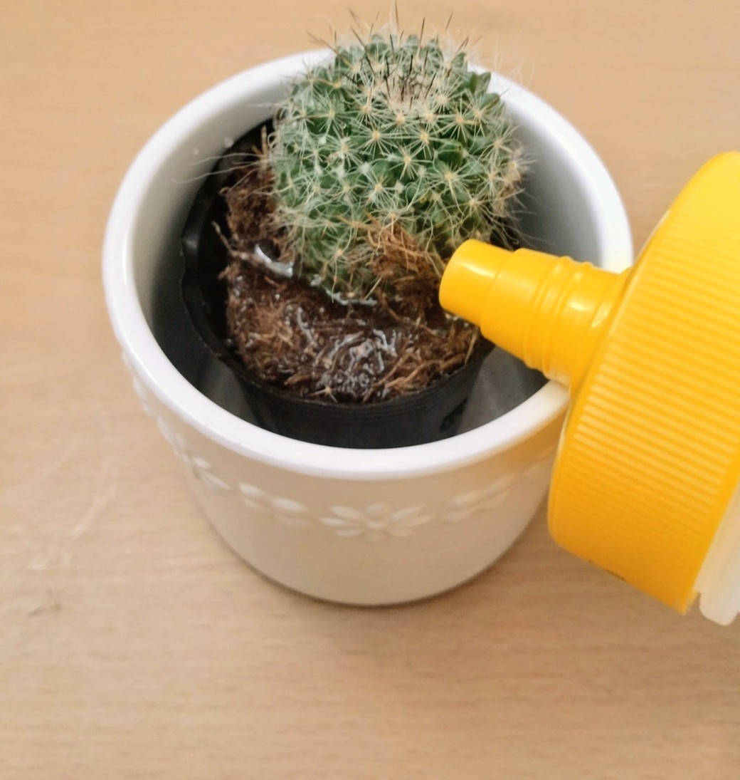 はちみつの容器で水やりをする人