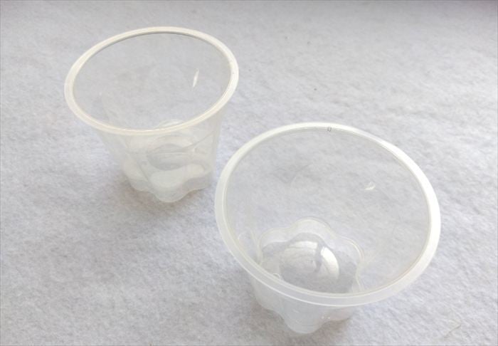 プリンの空き容器