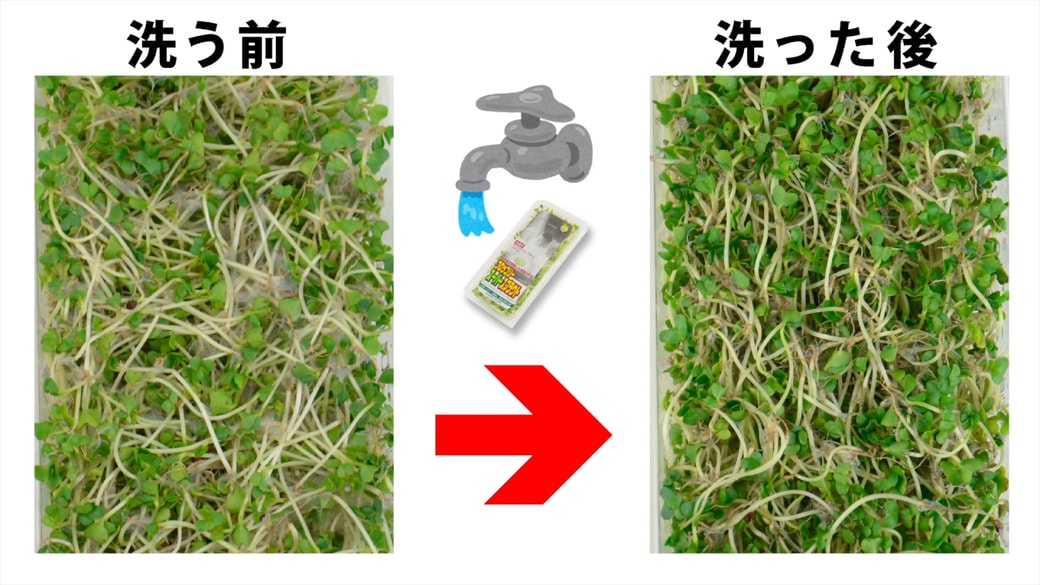 洗う前と洗った後の比較