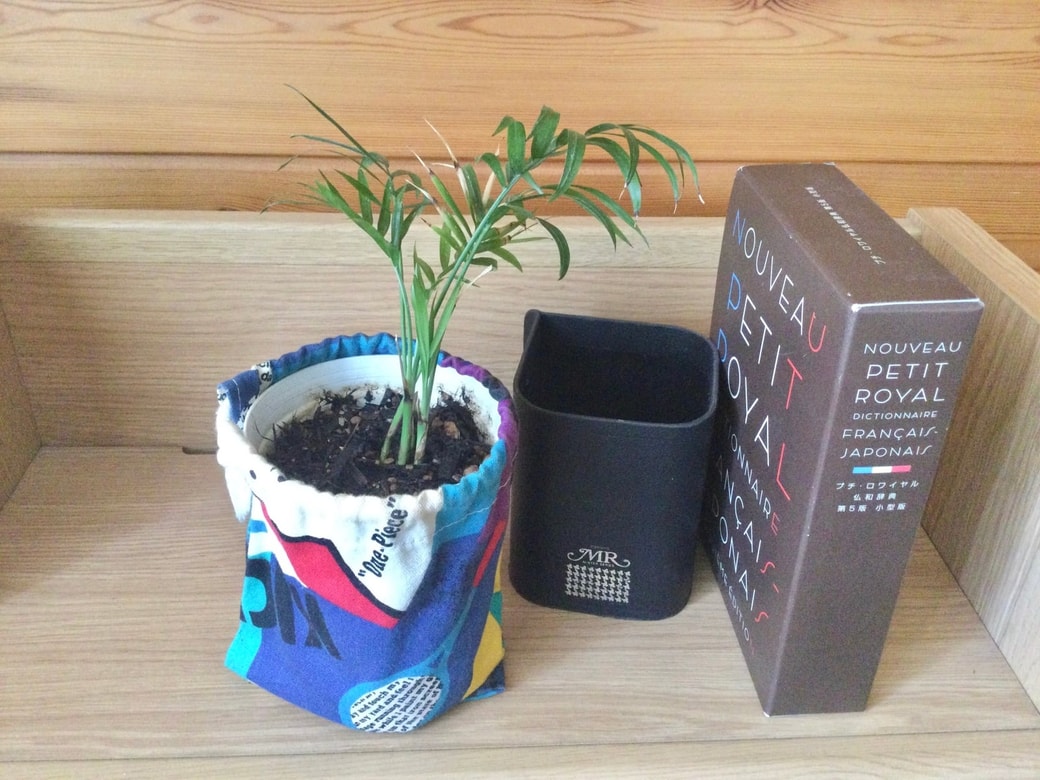 観葉植物を巾着袋に入れる