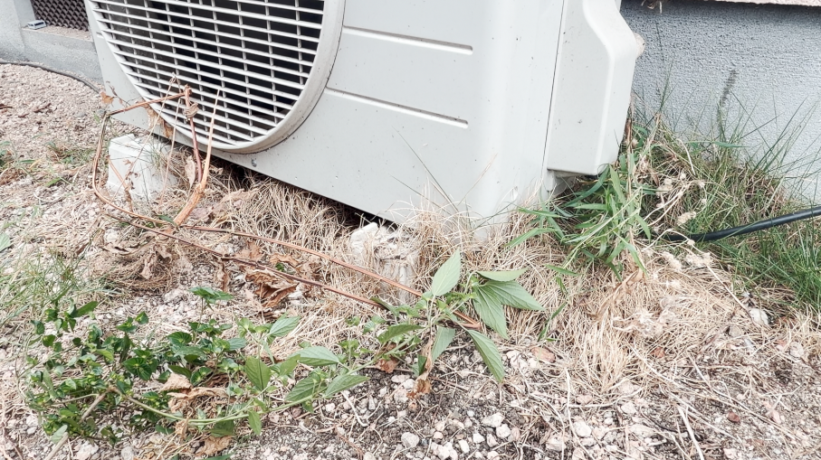 室外機周辺の草やゴミ