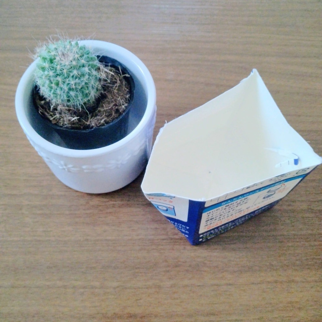 カットした牛乳パックと植物
