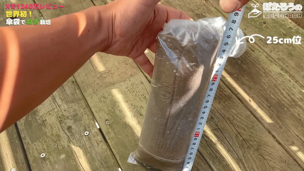 土の高さを25cmほどにする