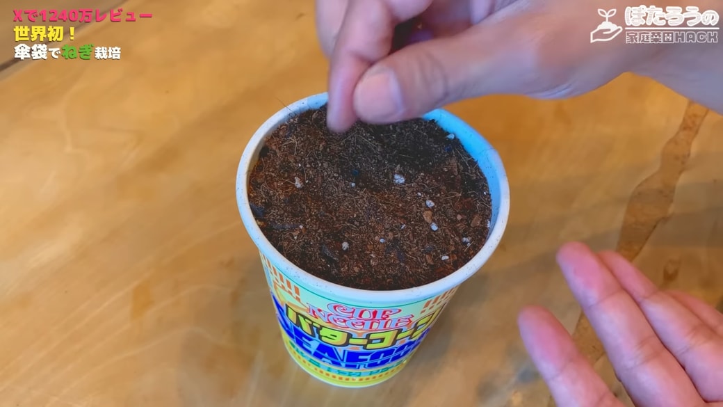 種をまいて土をかぶせる