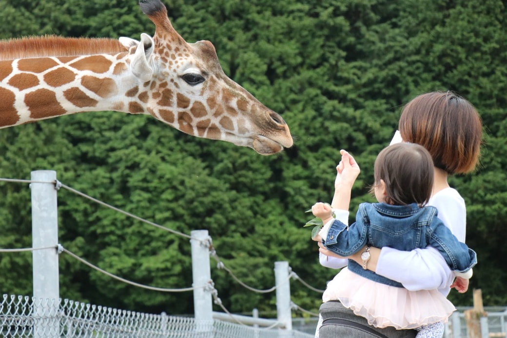 3．公営の動物園へ行く