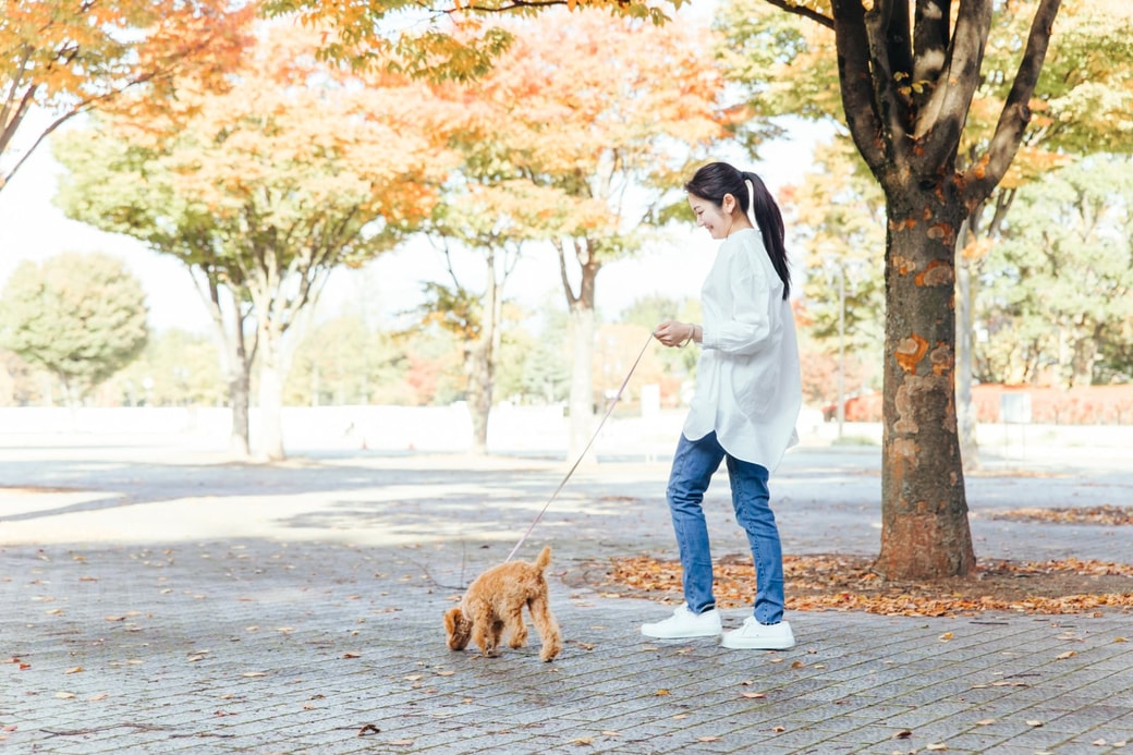 2.公園へ行く