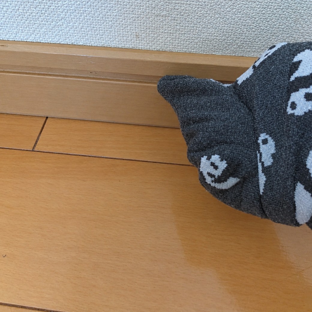 靴下で掃除をする人
