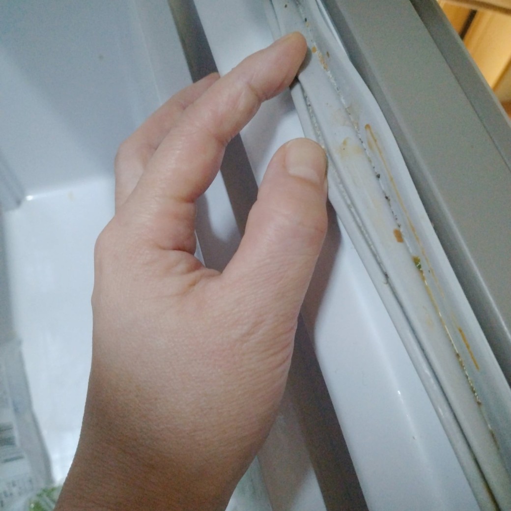 サンプルイメージ