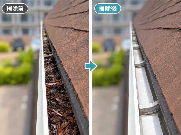 雨樋掃除:ビフォーアフター①