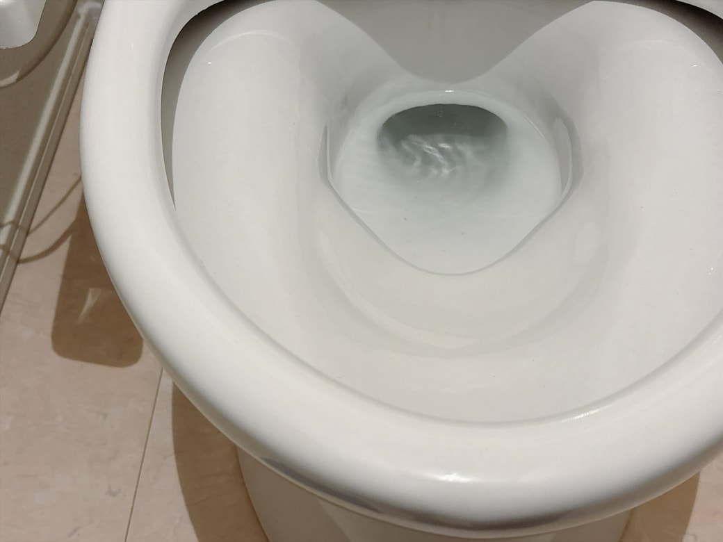 掃除後の便器